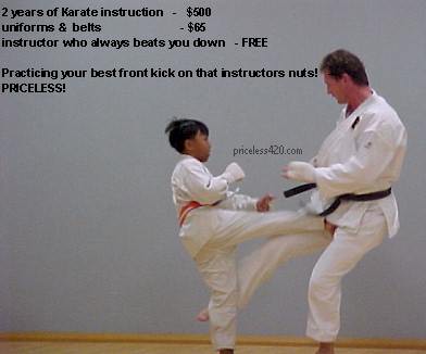priceless_karate.jpg